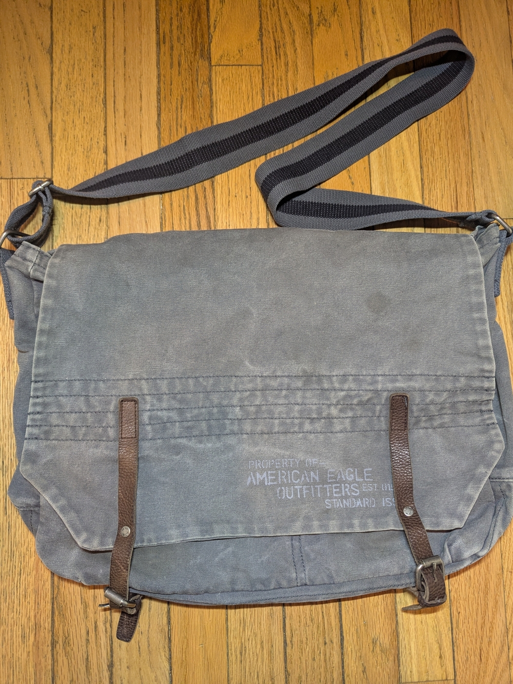 American Eagle Outfitters Gray Canvas Messenger Bag